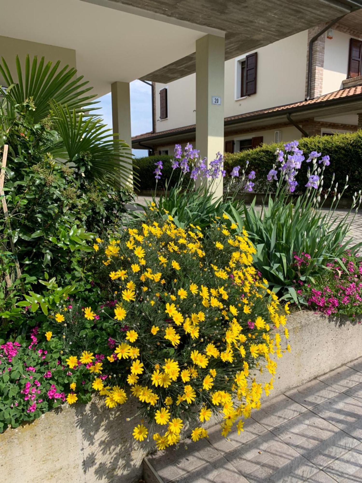 B&B La Salina Cannuzzo Luaran gambar